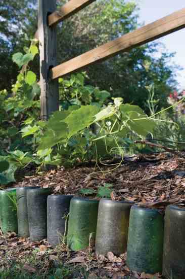 Based on a historic model, the herb-garden border is made from used wine bottles.